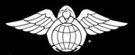 Tattered American Flag - USAF Pararescue Angel Edition