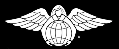 Tattered American Flag - USAF Pararescue Angel Edition