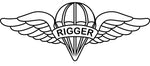 Tattered American Flag - Rigger Wings Edition